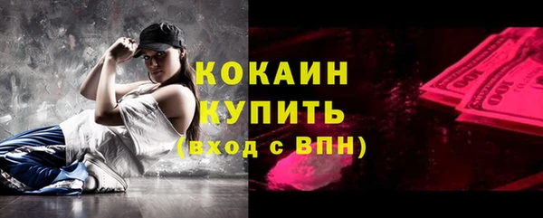индика Алексеевка