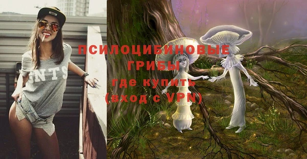 экстази Алексин