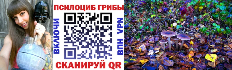 Псилоцибиновые грибы мицелий  кракен tor  Лесосибирск  купить наркоту 